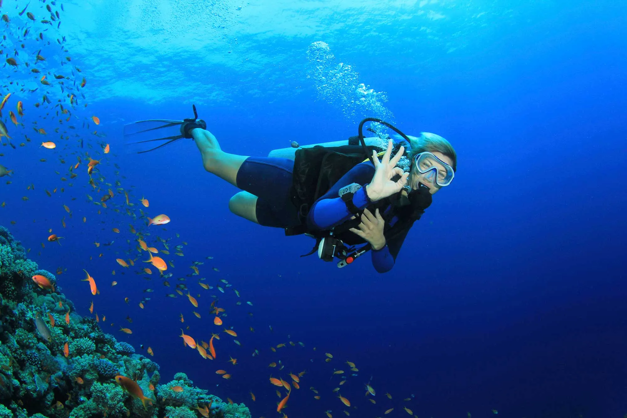 Scuba Diving Charter Fethiye