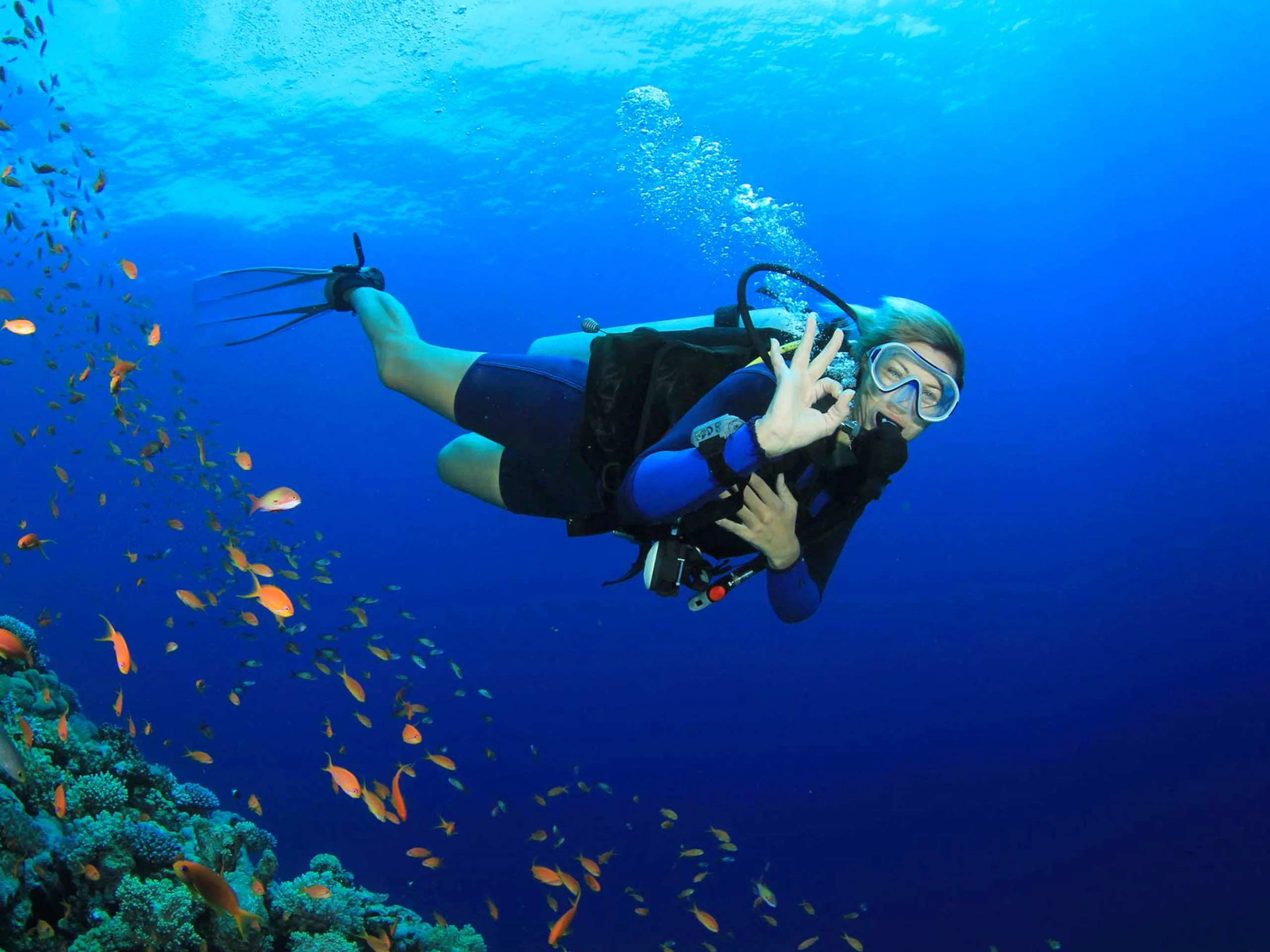 Scuba Diving in Fethiye Turkey